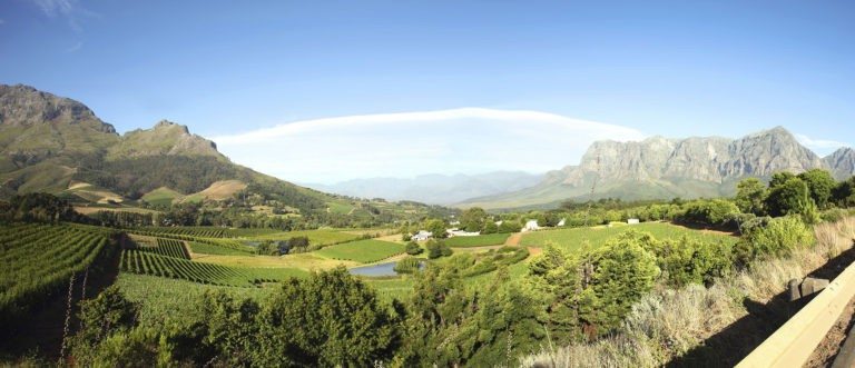 Cape Winelands