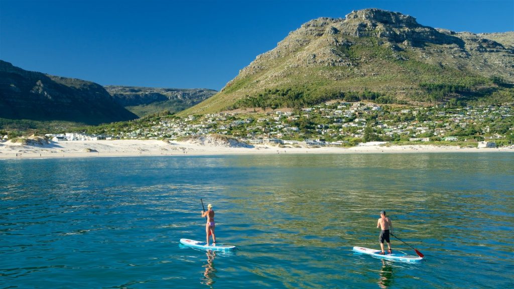 kayaking in Cape Town