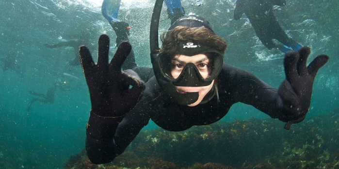 snorkeling spots in Cape Town