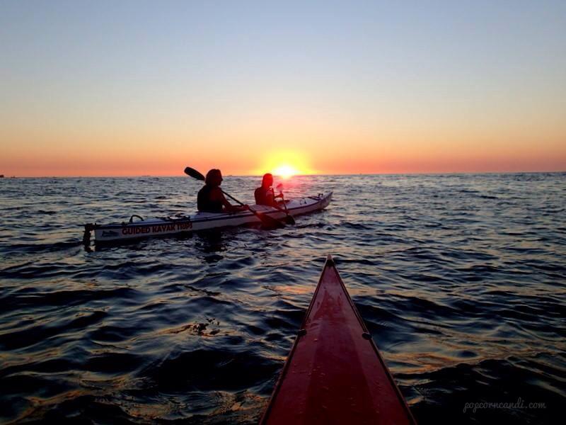 kayaking in Cape Town