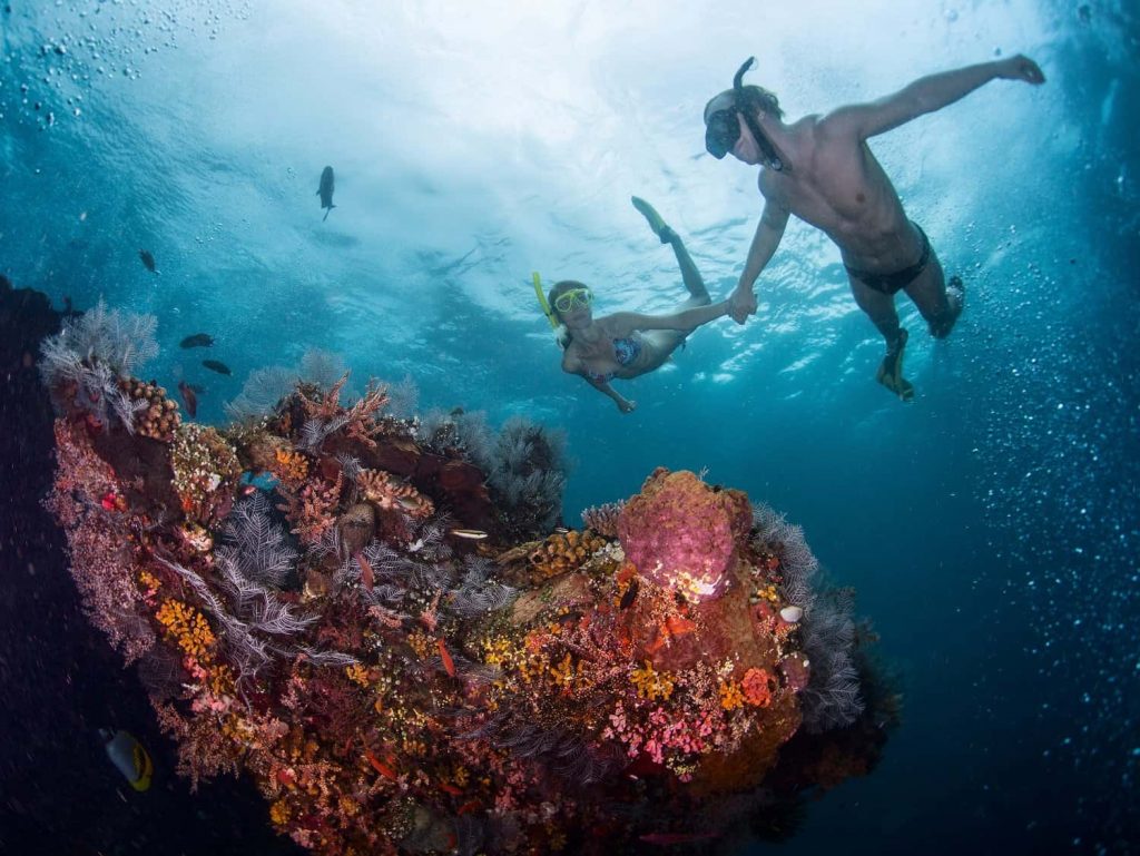 snorkeling spots in Cape Town