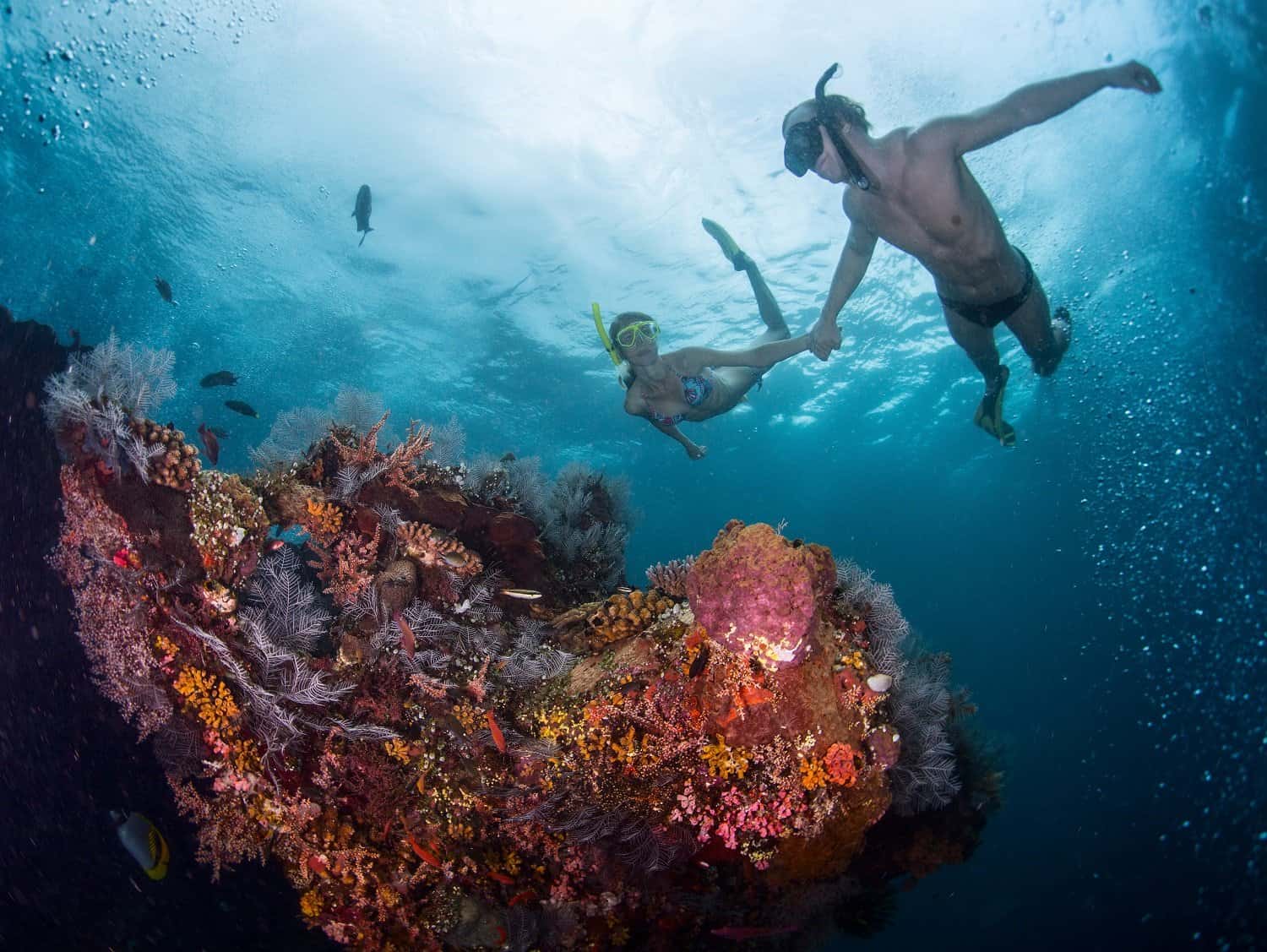 snorkeling spots in Cape Town