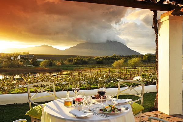 wine regions in the Western Cape