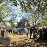 Rondebosch market