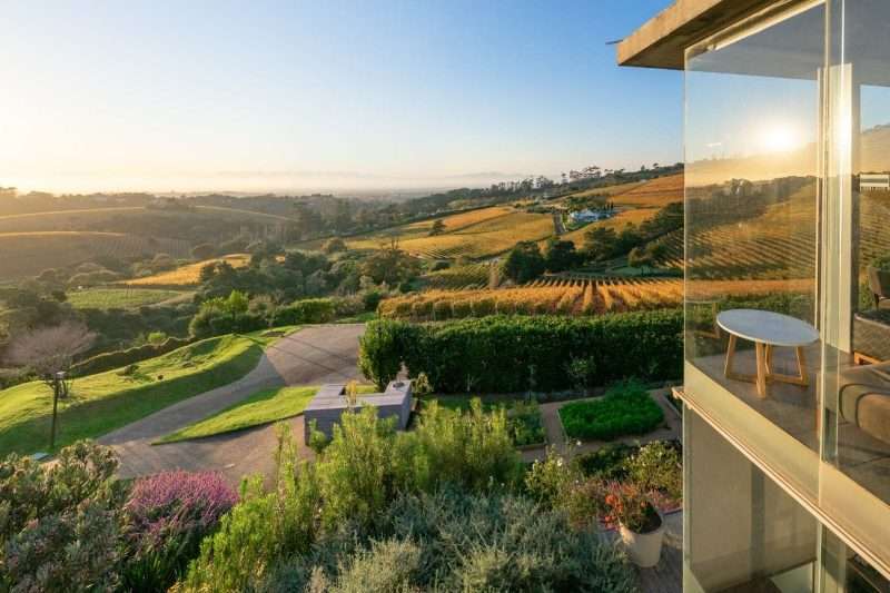 Constantia wine valley