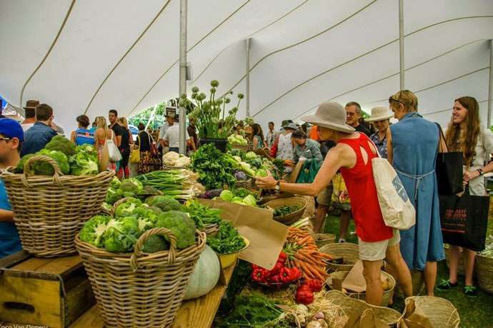 experiences exclusive to Cape Town