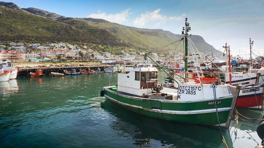 Cape Town activities 