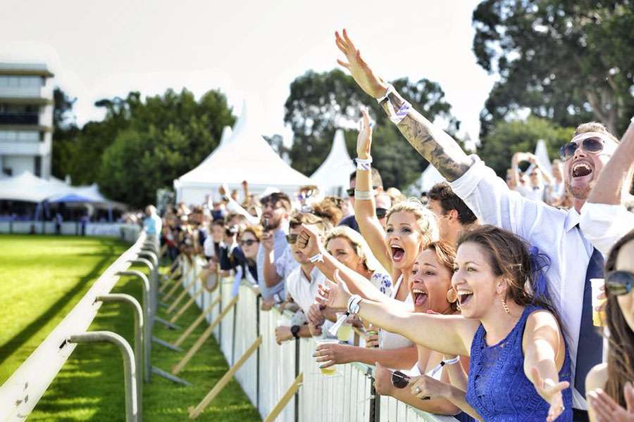 things to do in Cape Town this January