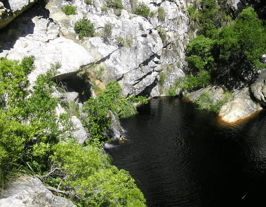 Best Outdoor Things To Do in Cape Town