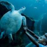 Best Things To Do In Cape Town With Kids