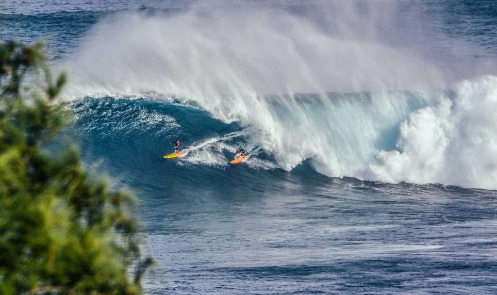 Two surfers ride a giant wave in deep blue ocean water near Cape Town, South Africa, with sea spray in the air and trees in foreground