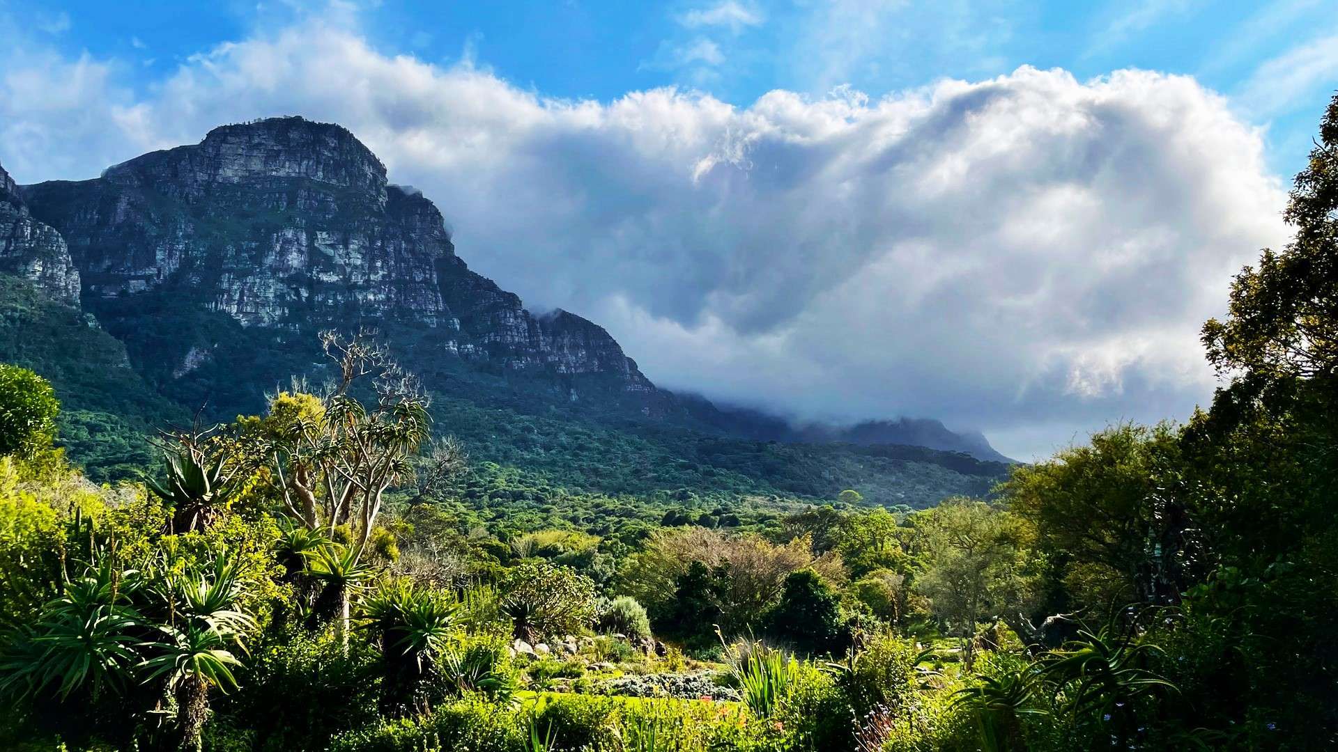 Top things to do with kids this holiday season in Cape Town
