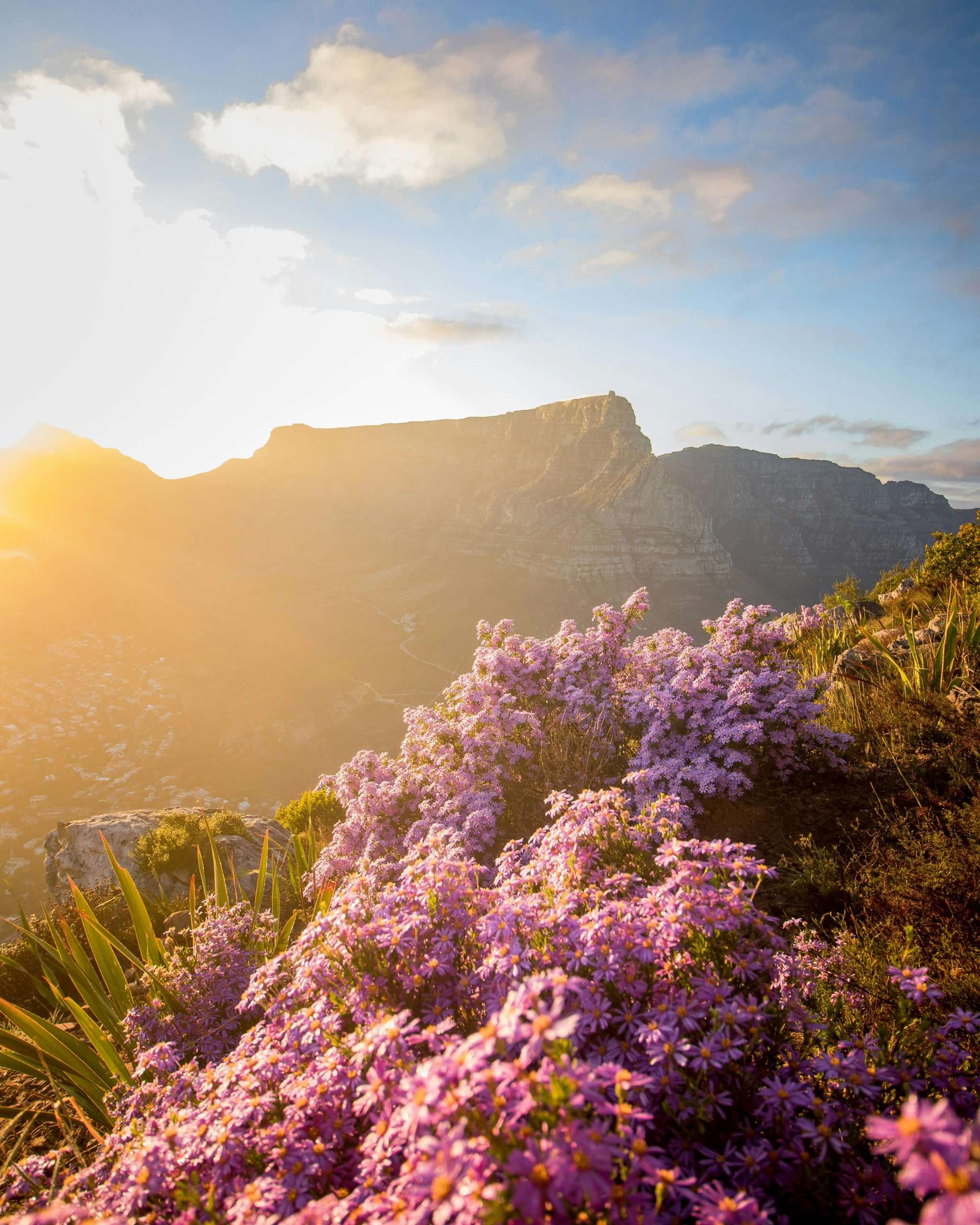 Sunrise view from Signal Hill in Cape Town with golden skies and cityscape below, seen during an early morning hike