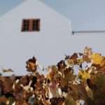 Photo: Sune de Bruyn