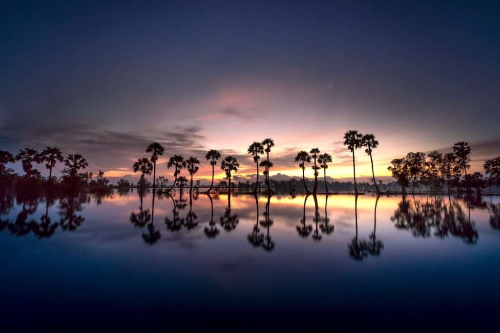 A stirring picture of trees sillouhetted and reflected in water. Chosen to accompany the poem 'A Poem About Travelling' by Gio Evan.