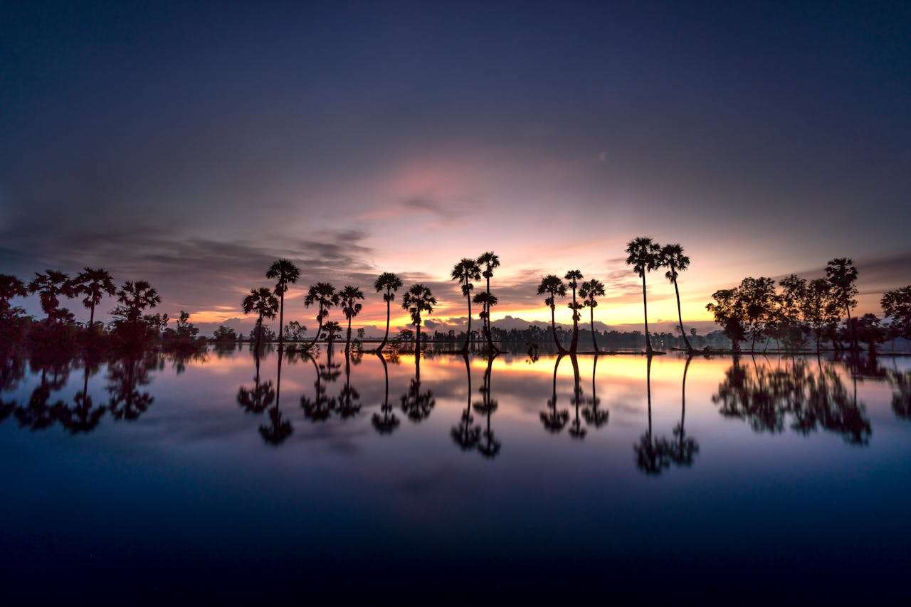 A stirring picture of trees sillouhetted and reflected in water. Chosen to accompany the poem 'A Poem About Travelling' by Gio Evan.