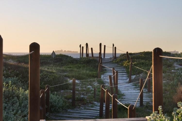 1467_1425452298-1262020289_126_467785