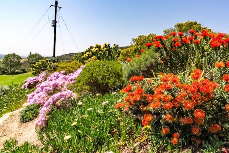 1f1b7755-d413-435a-aaed-95bc0e01e81a