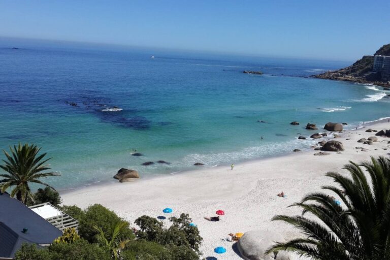 3b85f928-8299-472e-b6f8-a2cf5cdcc92b