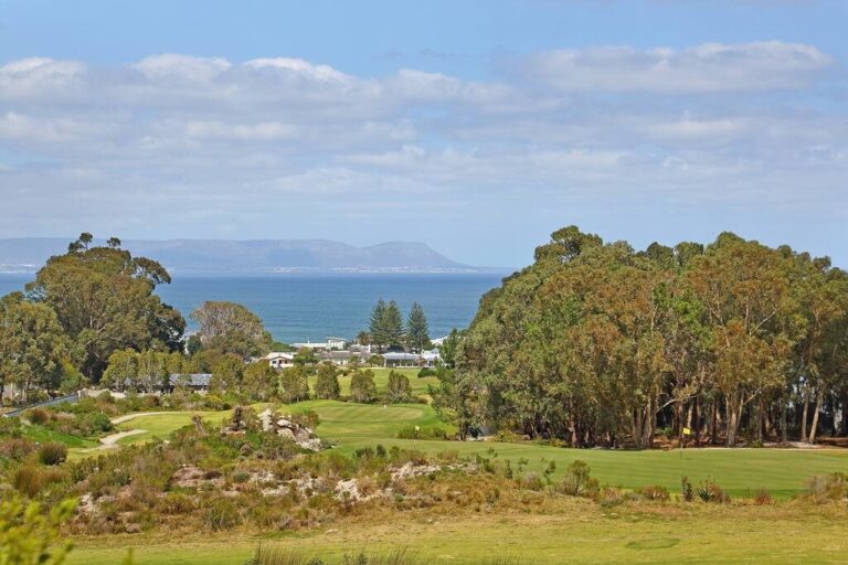 3d1831f6-0427-4d3c-a70e-a998713a8637