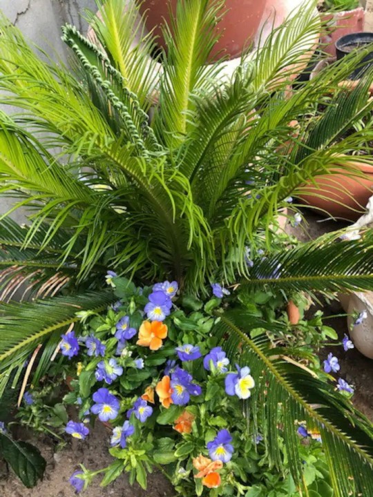 5d71b51e-4e26-4f91-b5b7-779064d6d9b3