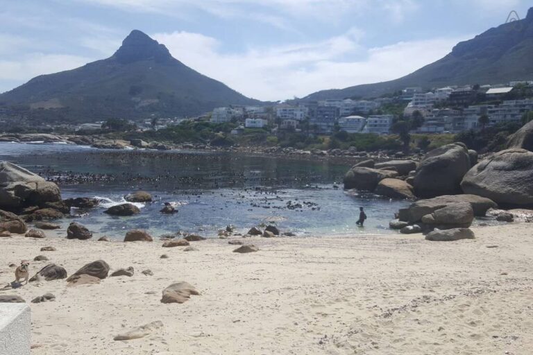 90a04140-c2d5-486a-94fb-77a11572038e