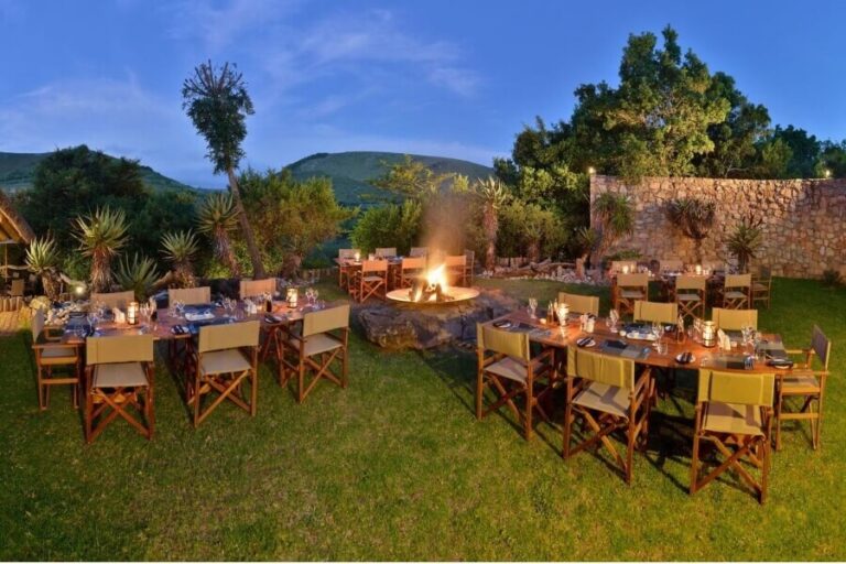 Bayethe-Gallery-image-1-1