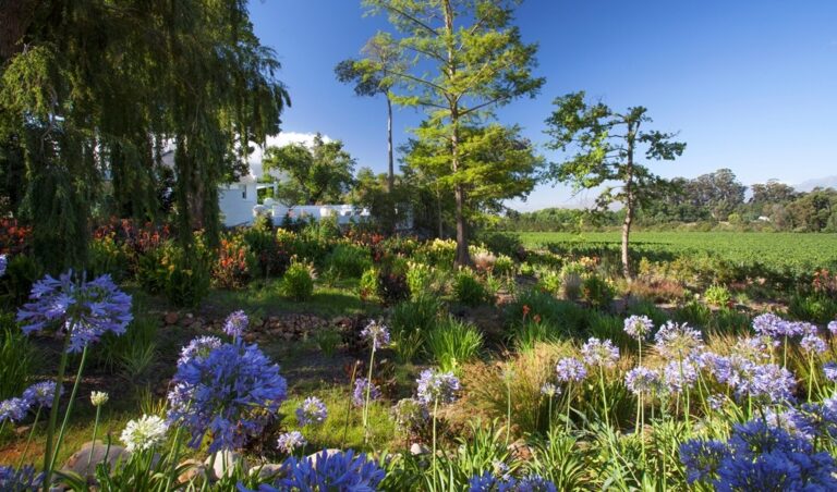 Oldenburg-Homestead-Stellenbosch-Gallery-121