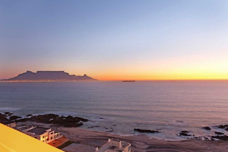 5dc19177cf18b088719735