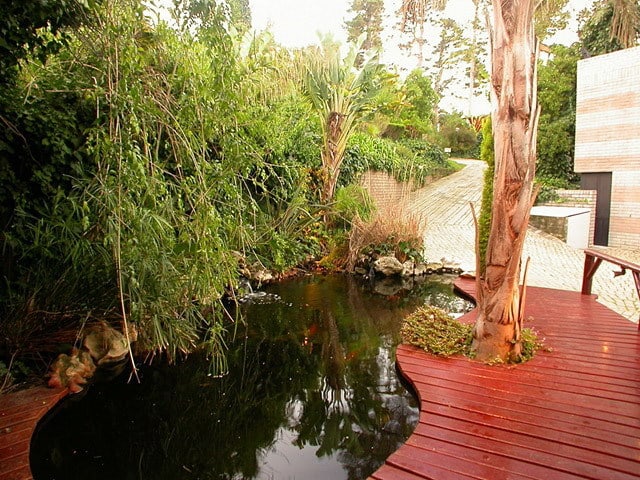 suite4front-pond21_lrg