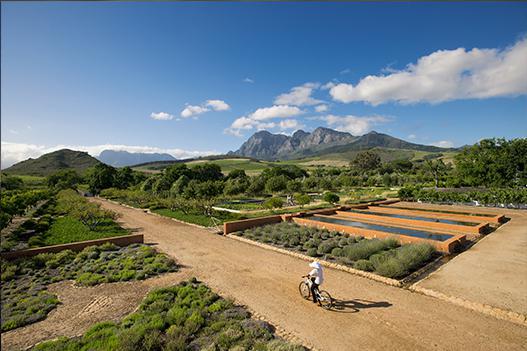 1395929850-web-update-cycling