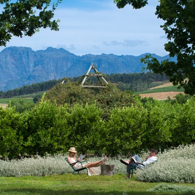 standard_guests_enjoying_the_stillness