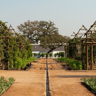 standard_rill_system