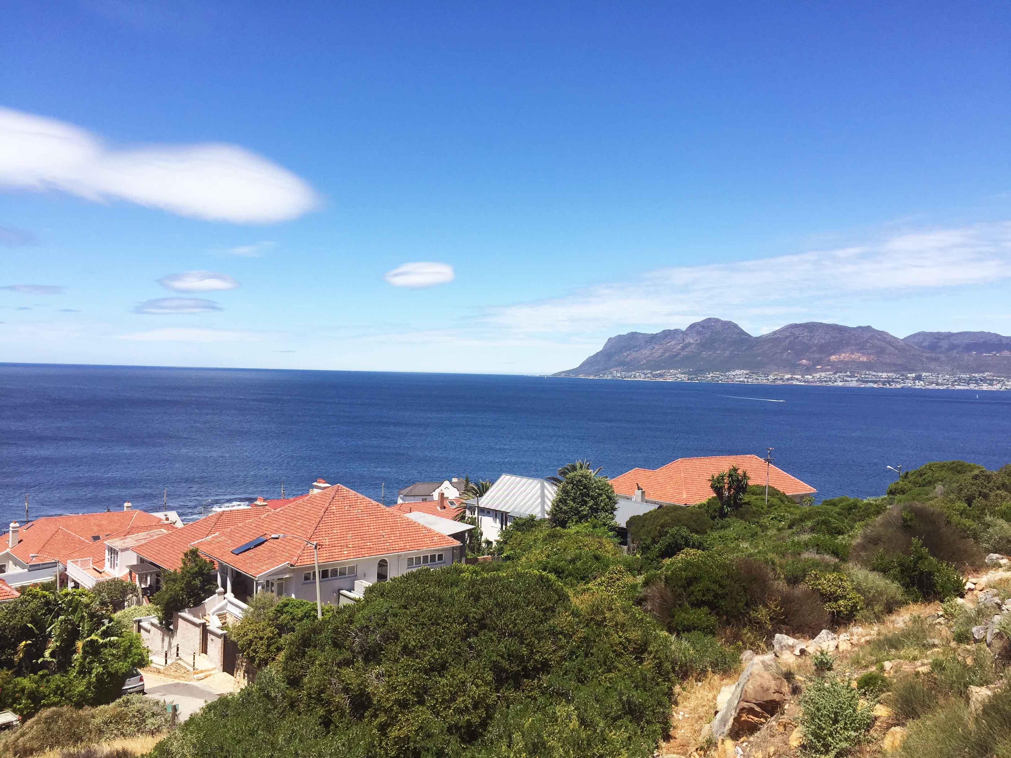 Product1234596882-006