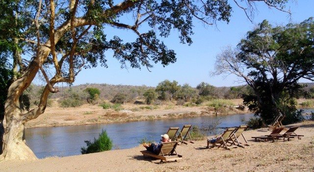 wildlife_20130318_1360875435