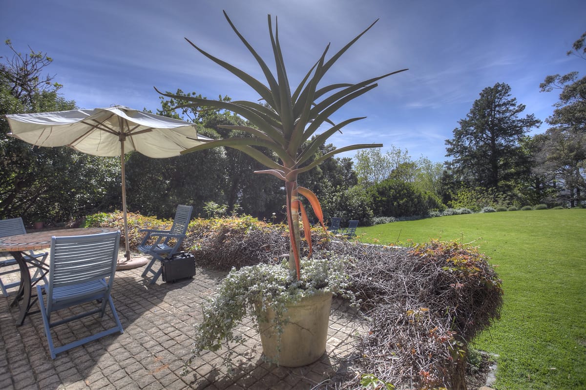 Product1234709768-003