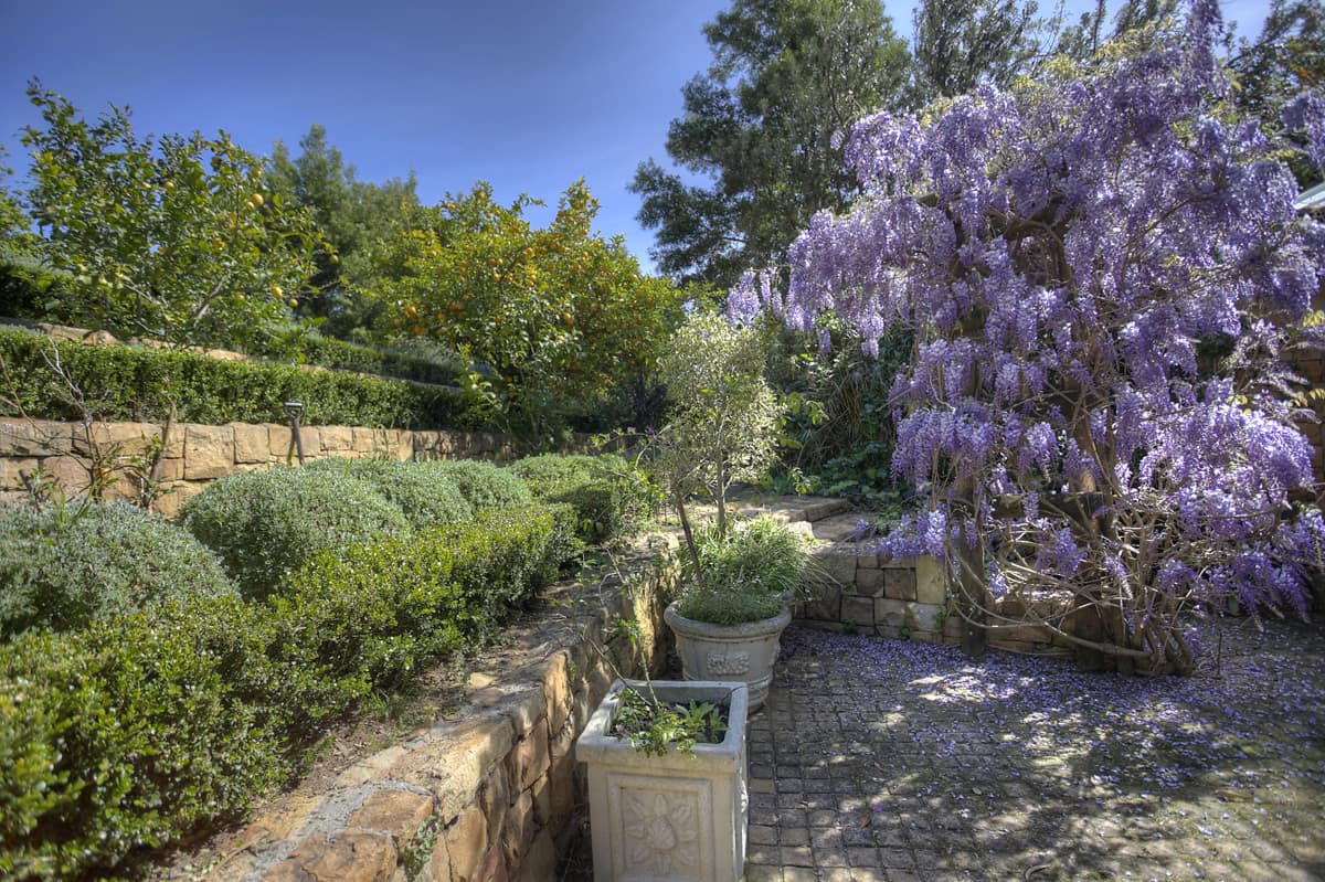 Product1234709768-014