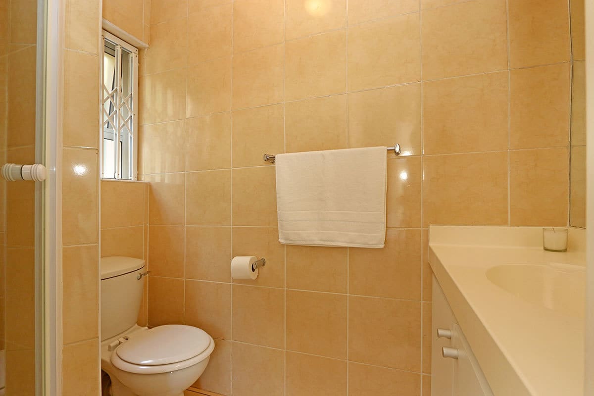 product1234686281-035