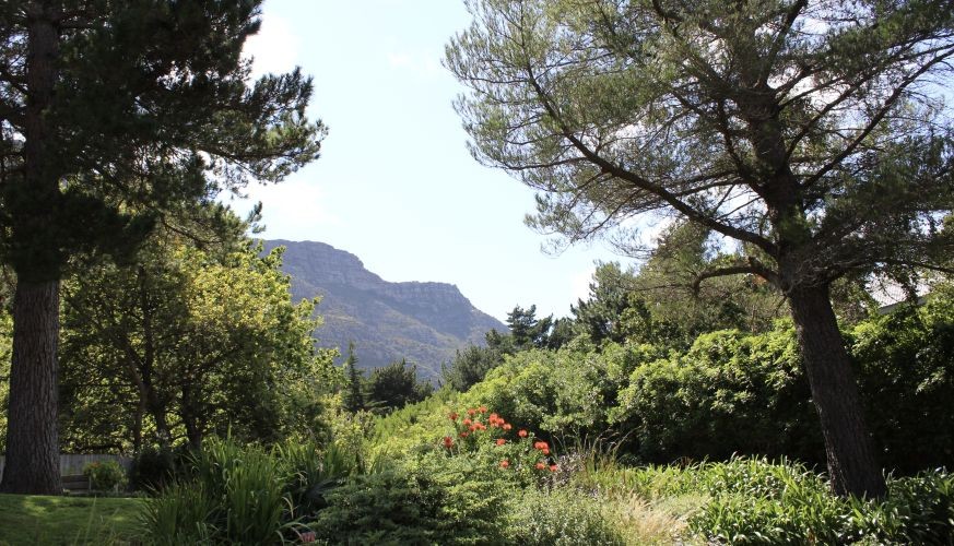 Perfect-Hideaways-Hygge-House-Hout-Bay7