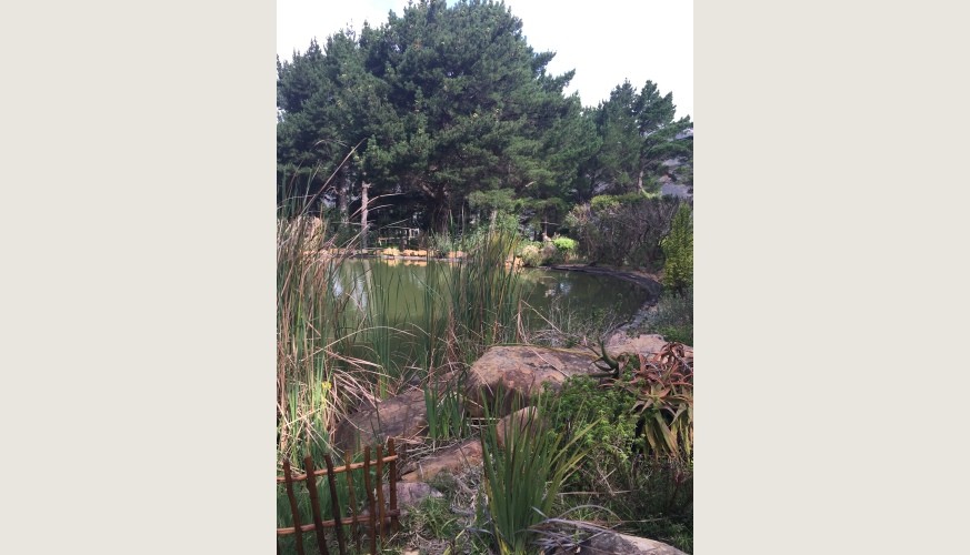 Perfect-Hideaways-Hygge-House-Hout-Bay76