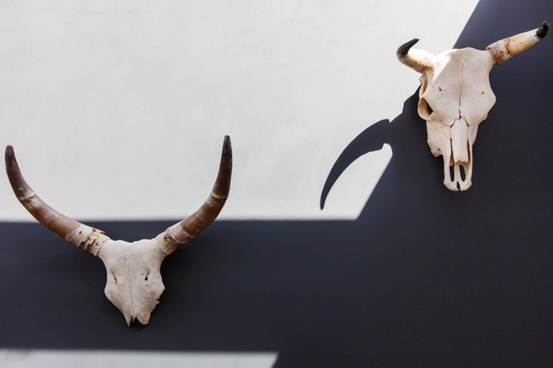 {1E41F352-17C8-4B33-85D1-9D69076CA94A}