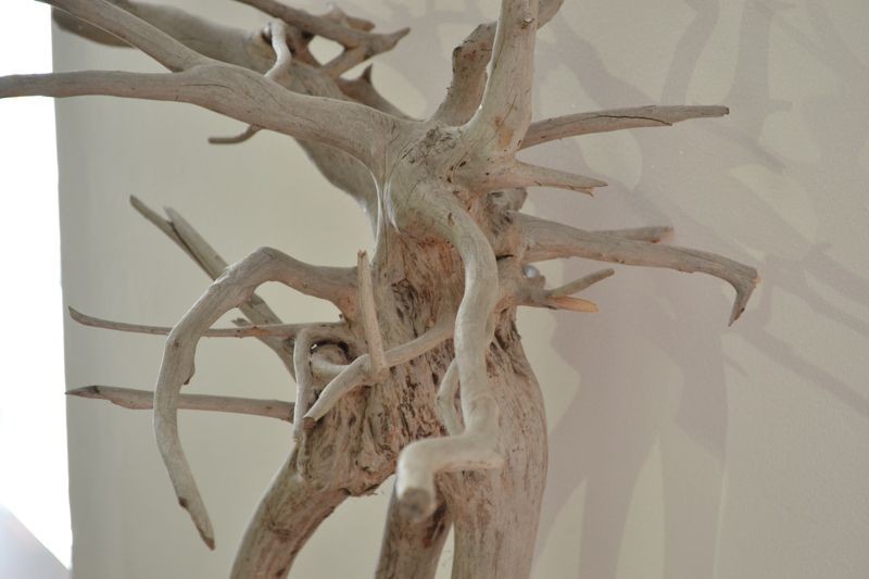 {9A73230F-66DF-4C04-B601-11D6D3010478}