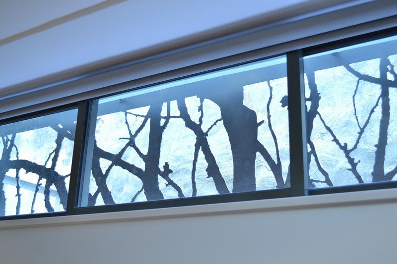 {84358804-E549-452D-8BE2-096CFBAF5E29}