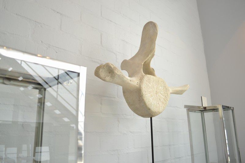 {CBC1EDAE-FC33-4F83-AD7B-808FEFEC3B17}