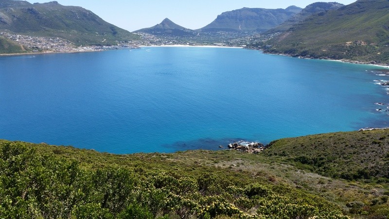 98a9cfc484c093ee726d8928ef34b72d