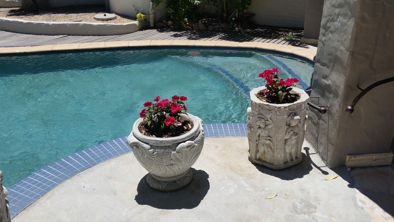 a747d75af2c22e1fc5f72e44cd607f10