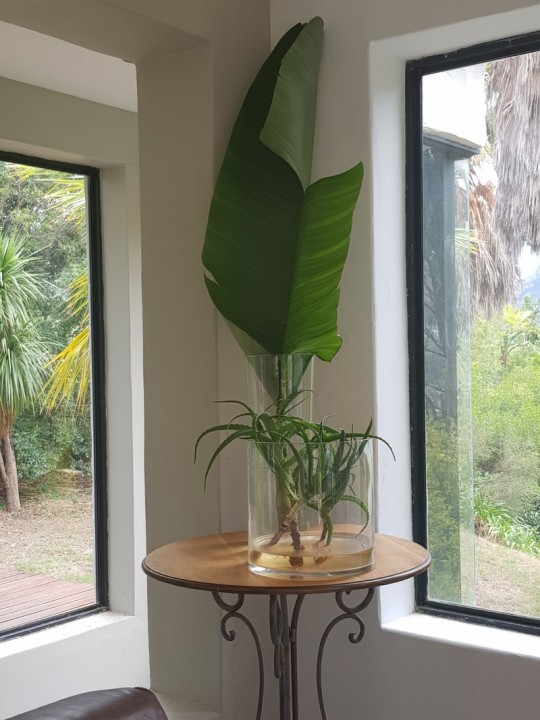 b44af301c0a032ec23e08636d1b319f6