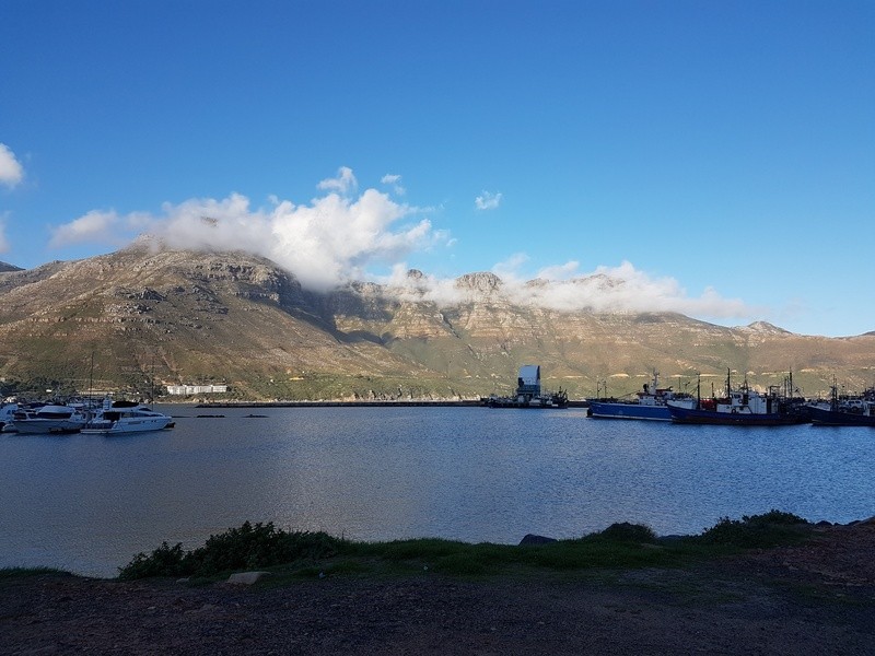 cd848c4a8ca4c3fedf24375bbc40e504