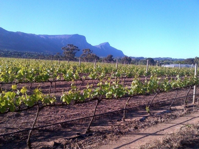 ffd77386b2270899eda1968cf1a2b345