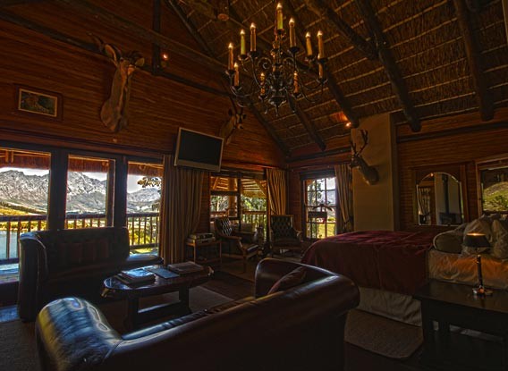 forest_suites_image01